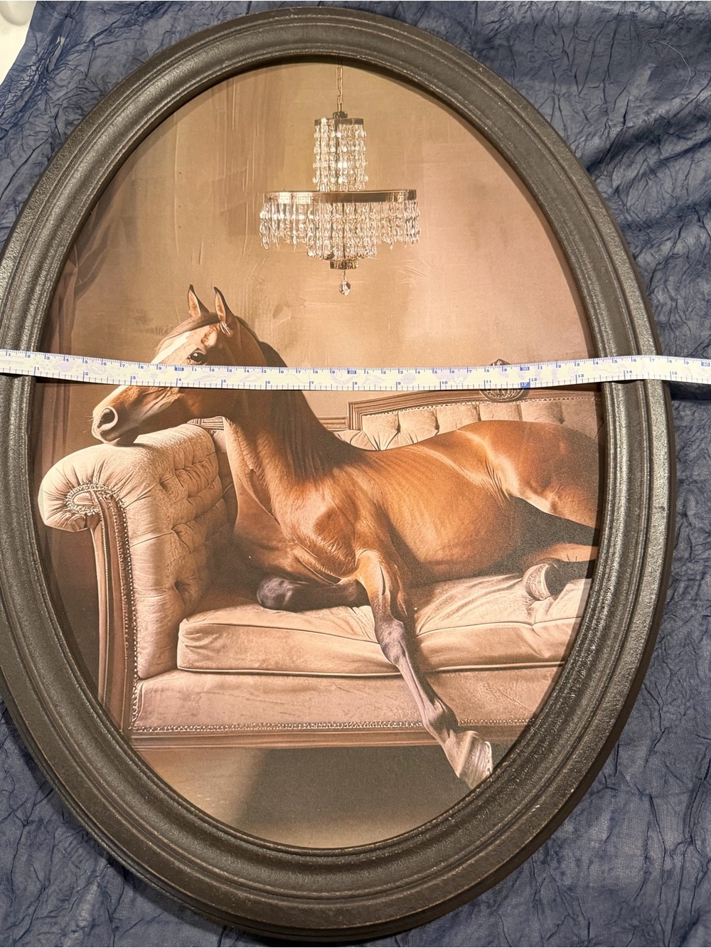 Oval Black Framed Horse Wall Art - Picture 5 of 5